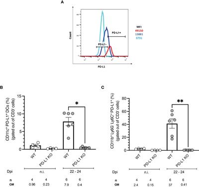 Role of the PD-1/PD-L1 Pathway in Experimental Trypanosoma cruzi Infection and Potential Therapeutic Options